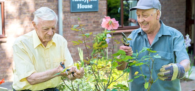 The health and well being benefits of gardening Image